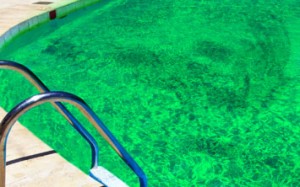 Limpeza de agua verde de piscinas